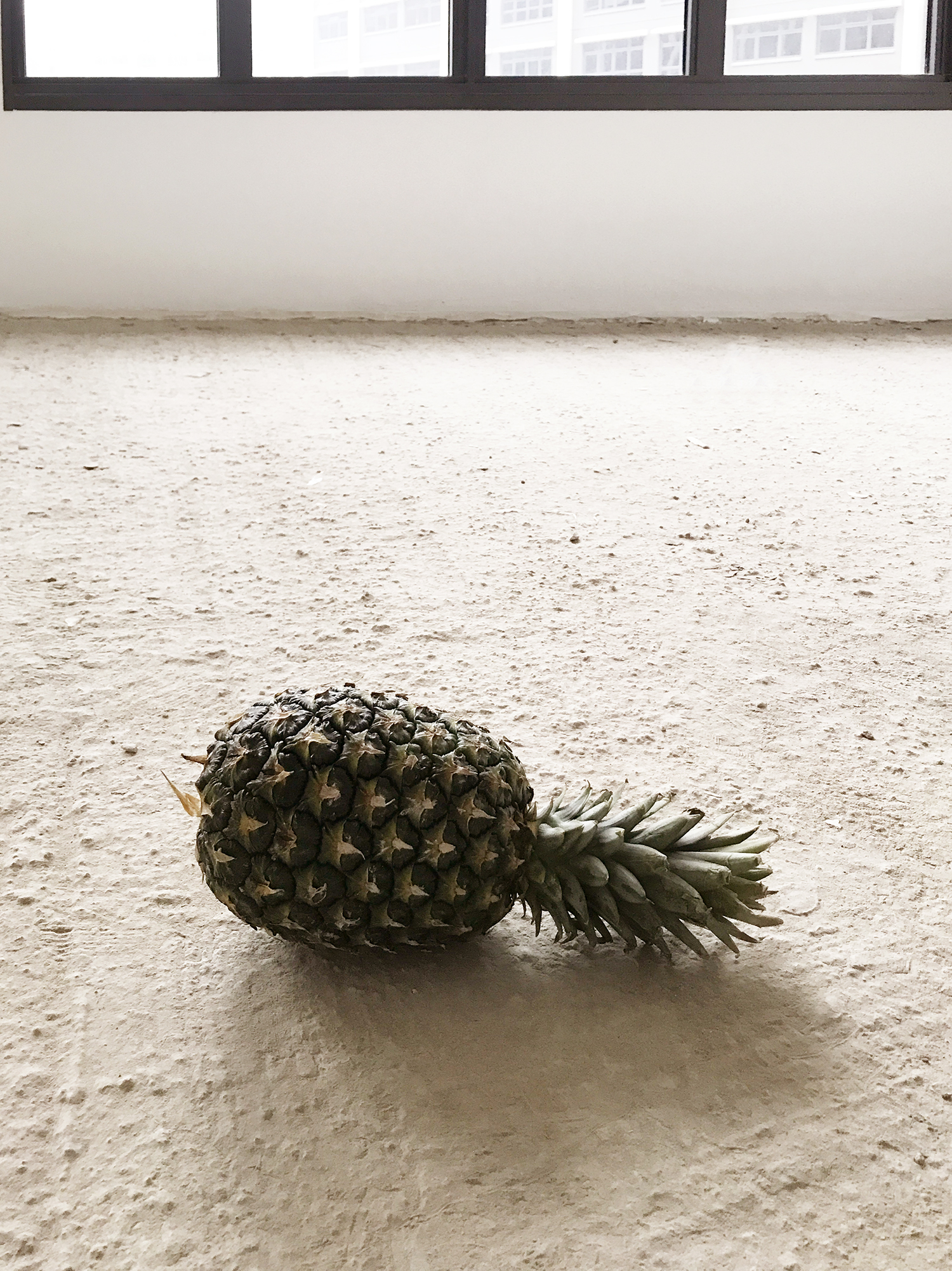 シンガポールのHDB入居