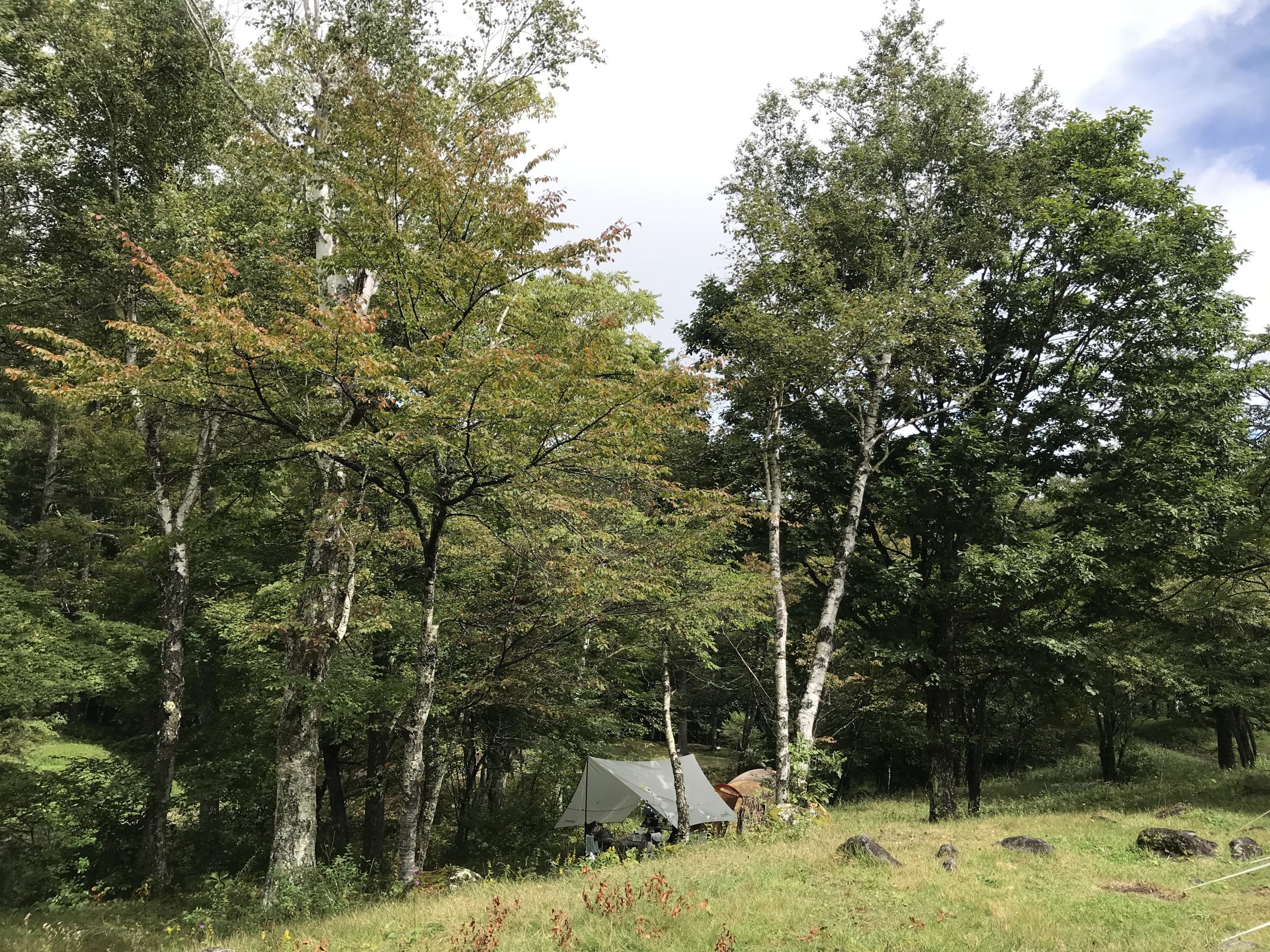 駒出池キャンプ場