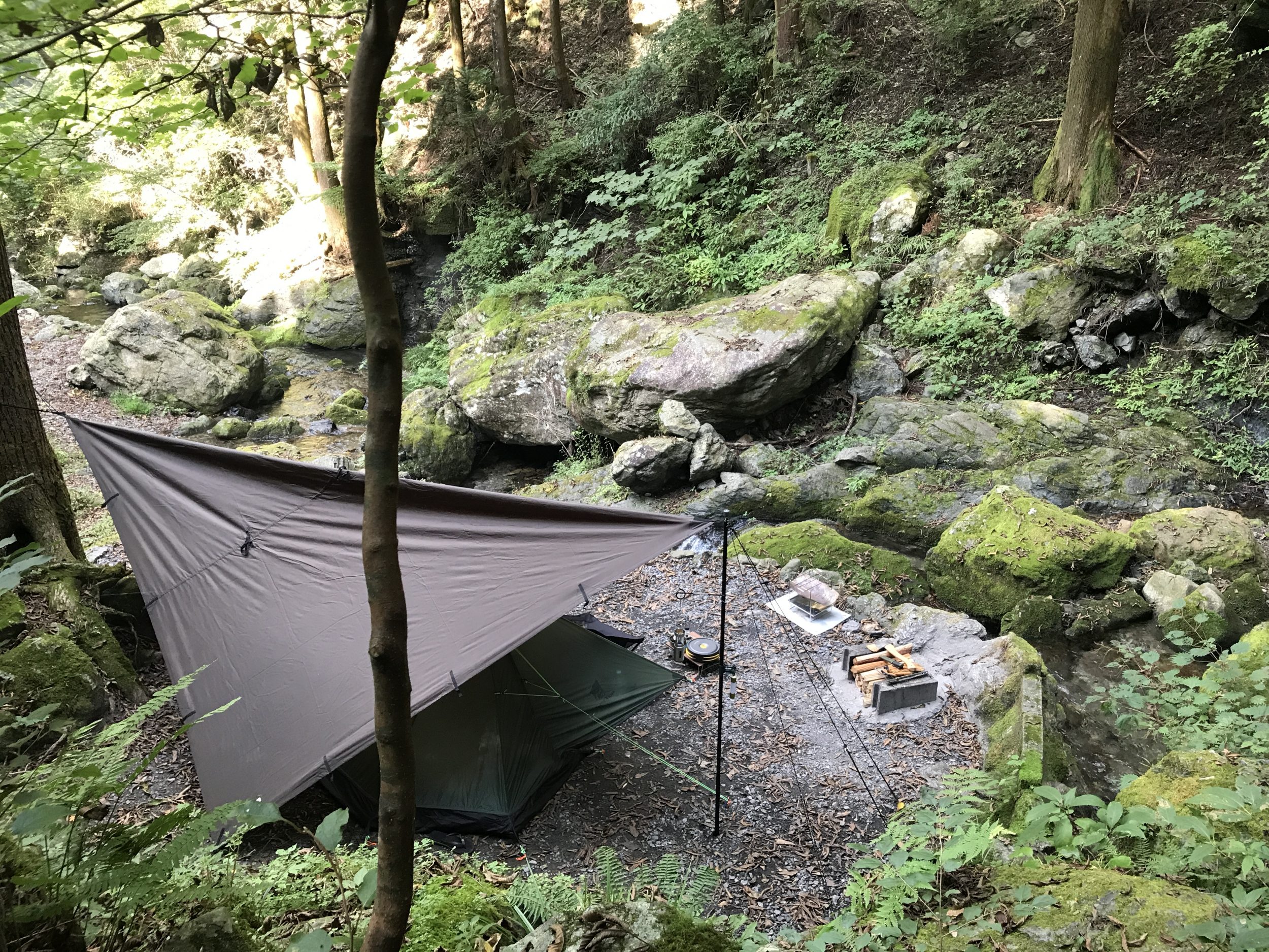 DDタープの過保護張り