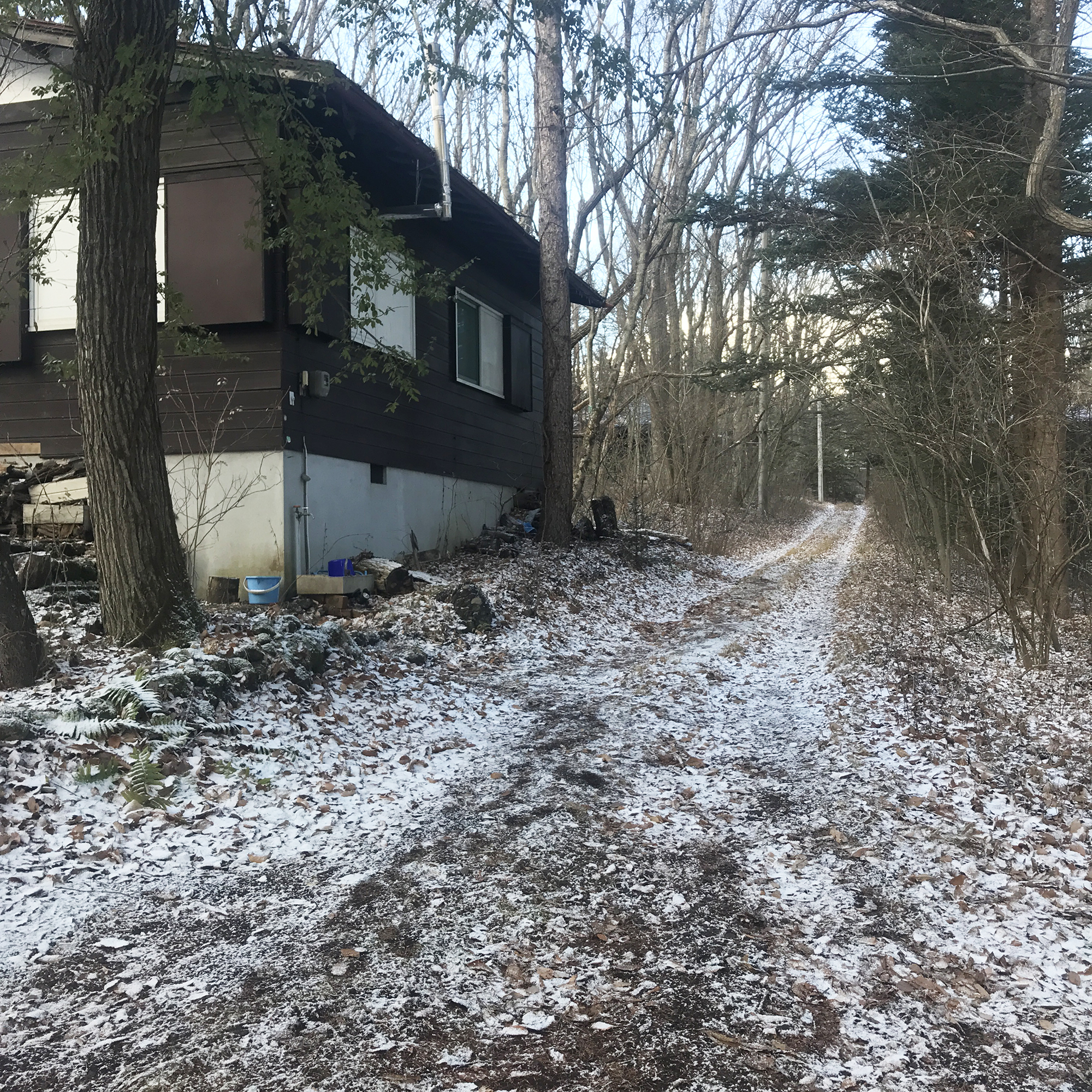 軽井沢追分で雪が積もり出した