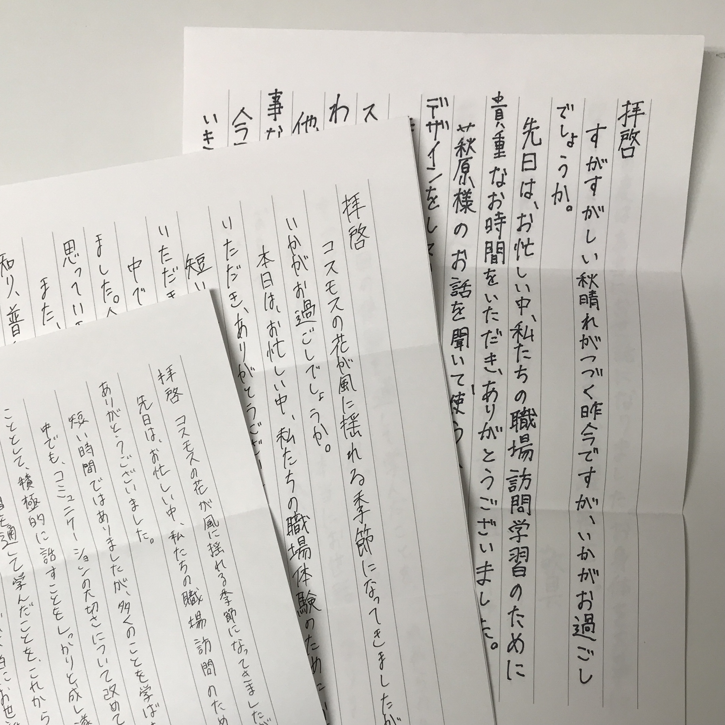 中学生からのお手紙