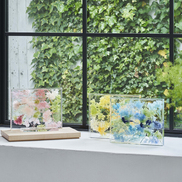 ゆらかステージ