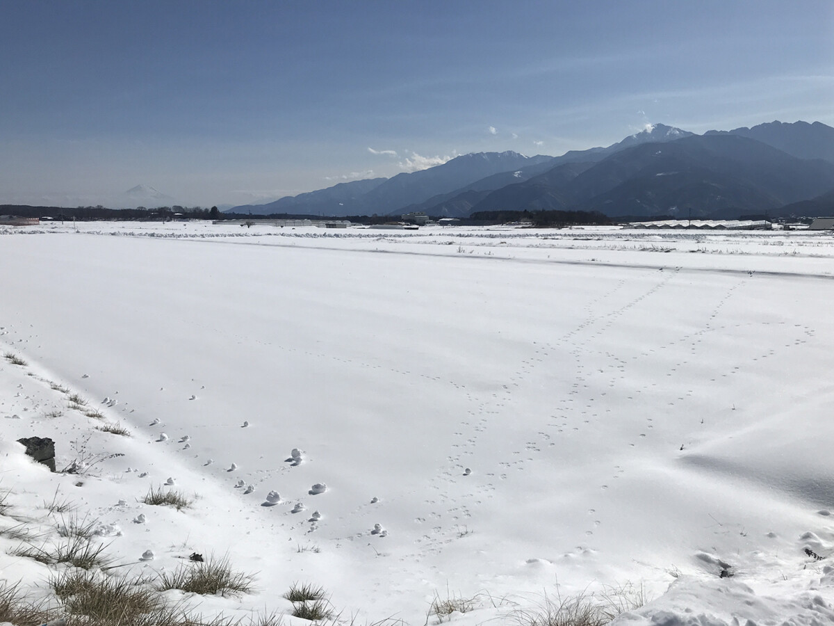 長野県茅野－雪の風景